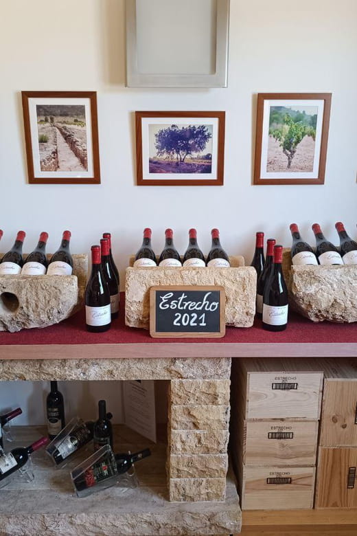 From Alicante ,Benidorm: Winery Tour and Wine Tasting - Final Thoughts: Worthwhile for Curious Wine Enthusiasts