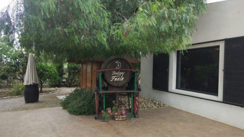 From Alicante: Best Winery Tour and Wine Tasting - Key Points / Takeaways