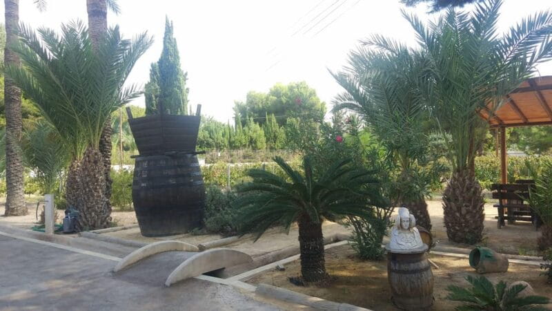 From Alicante & Elche: Family owned rural Winery (tasting) - Tasting Four Wines: A Well-Rounded Exploration