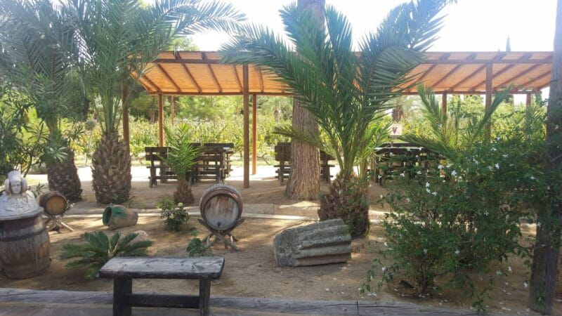 From Alicante & Elche: Family owned rural Winery (tasting) - Price and Logistics: A Closer Look