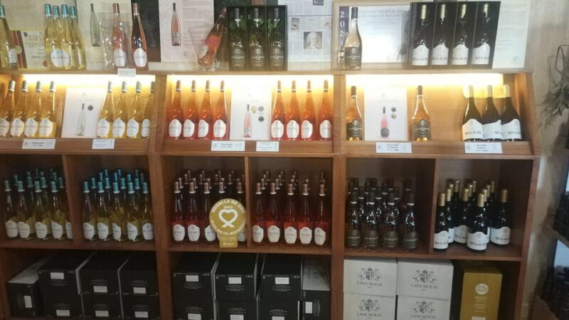 From Alicante: Premium visit to the winery. The best of our wines. - Key points / Takeaways