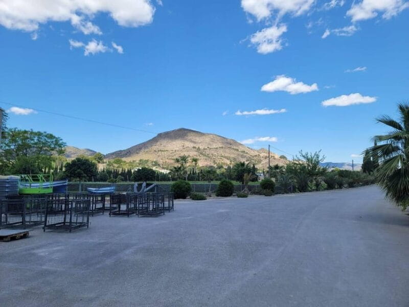 From Alicante: Winery Tour and Wine Tasting with Tapas - FAQ