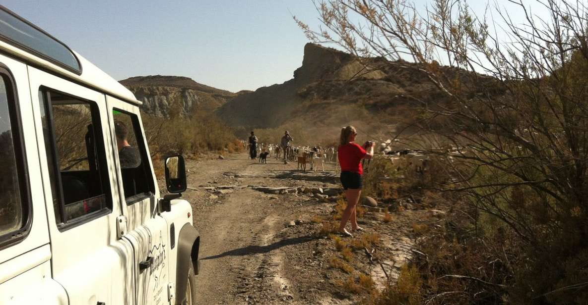 From Almeria: Tabernas Desert 4WD Joyriding Tour - Environmental Features