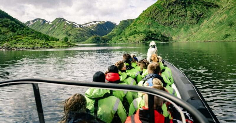 From Alta: Experience Seiland National Park - Who Will Love This Tour