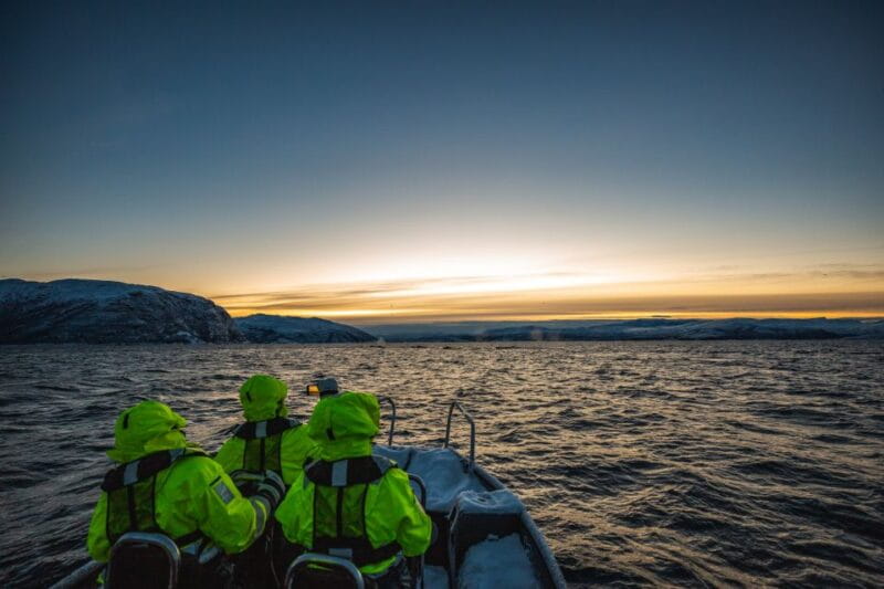 From Alta: Small Group Whale Watching by RIB - Exploring Norway’s Arctic Waters: An In-Depth Review