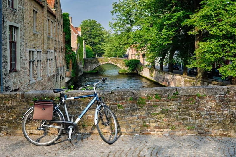 From Amsterdam: Brugge Day Trip and Walking Tour - Who Will Love This Tour?