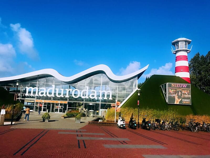 From Amsterdam: Day Tour to Rotterdam, Delft and The Hague - Key Points / Takeaways