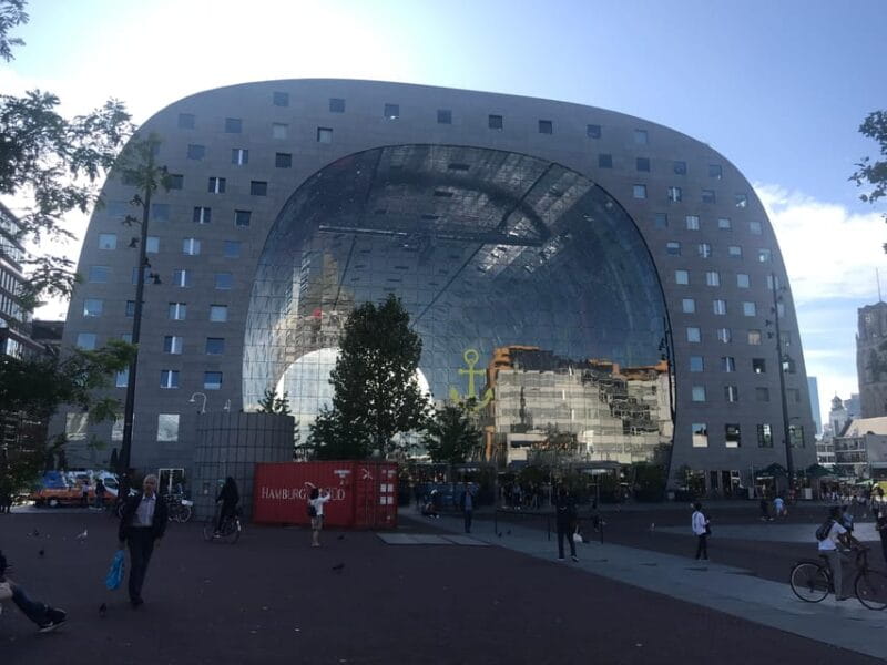 From Amsterdam: Day Tour to Rotterdam, Delft and The Hague - Transportation and Logistics: Putting It All Together