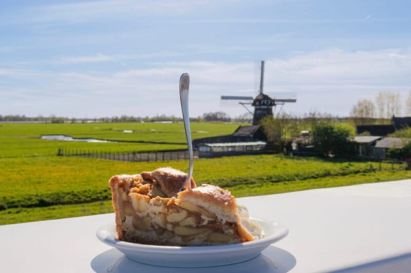 From Amsterdam: Holland Flower and Windmill Tour - summer ed - Who Should Consider This Tour?
