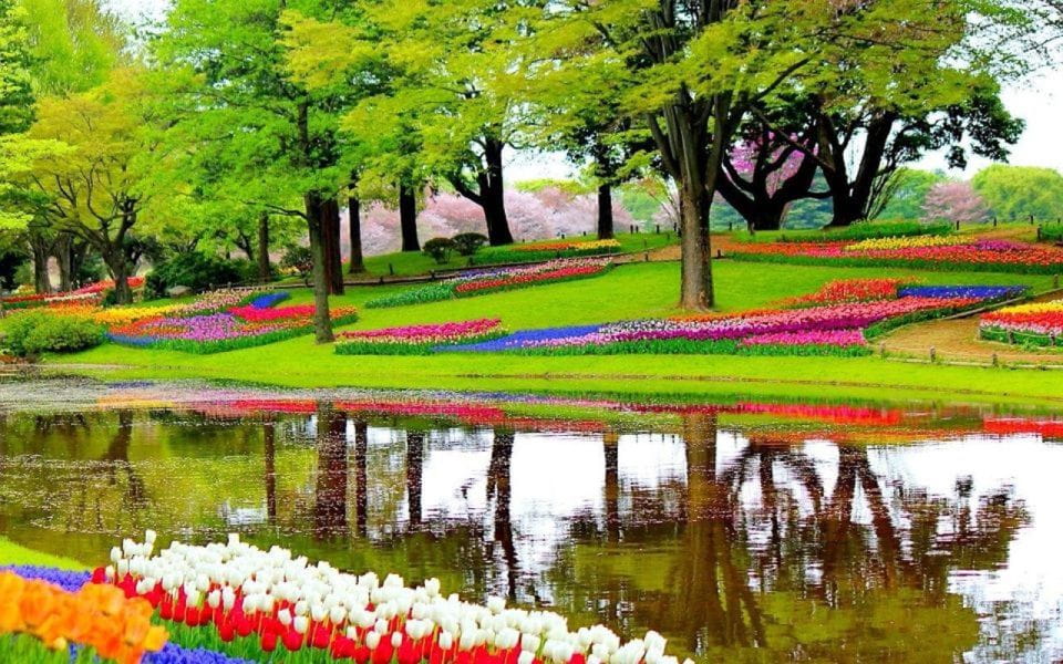 From Amsterdam: Private Keukenhof and Tulip Experience Tour - Frequently Asked Questions