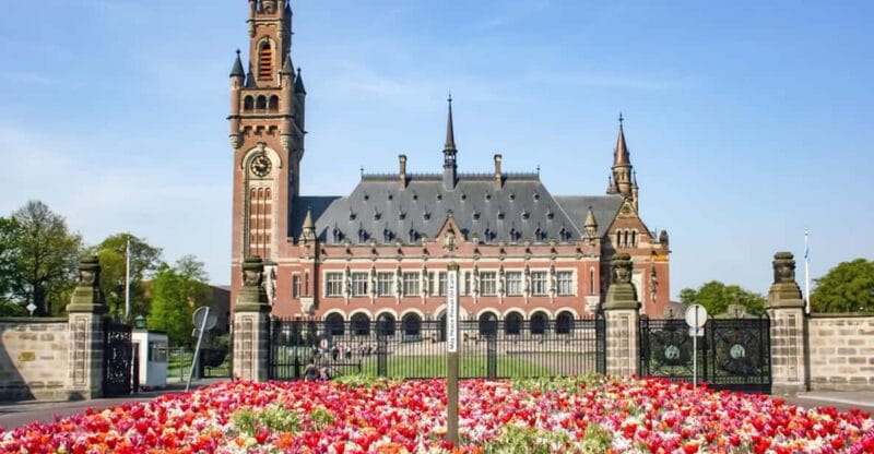 From Amsterdam: Rotterdam, The Hague & Delft Private Tour - Key points / Takeaways