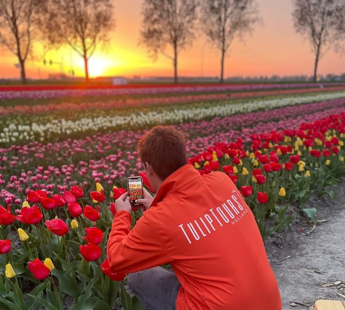 From Amsterdam: The Tulip Sunset Tour with Dinner - Key Points / Takeaways