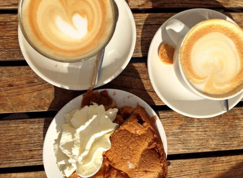 From Amsterdam: Tulip Fields of Holland Tour - Exploring the Heart of the Dutch Tulip Country