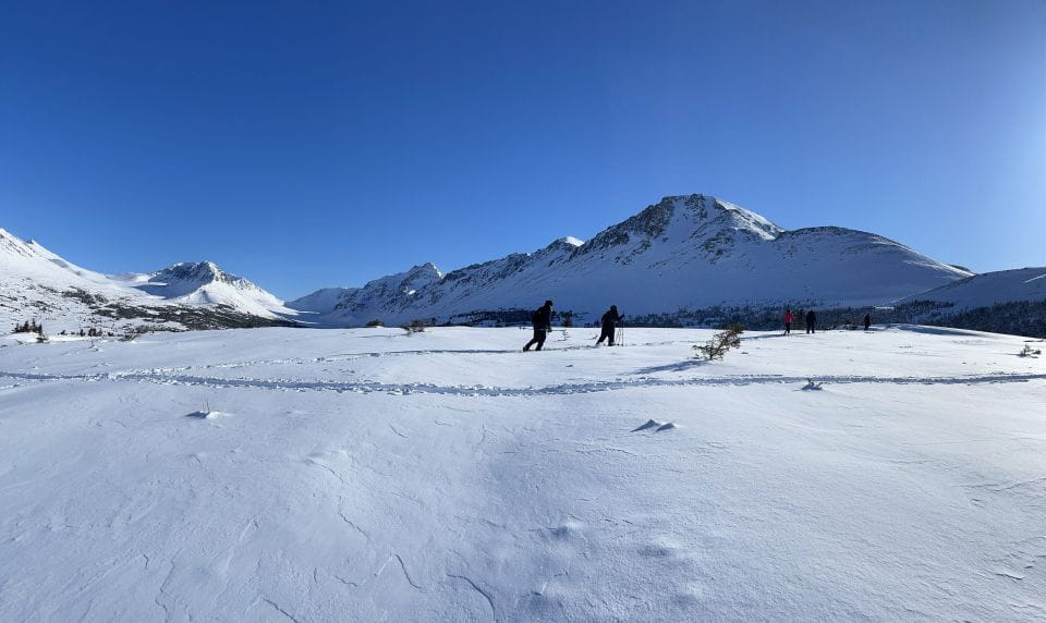 From Anchorage: Glen Alps Beginners Snowshoeing Adventure - Included Amenities