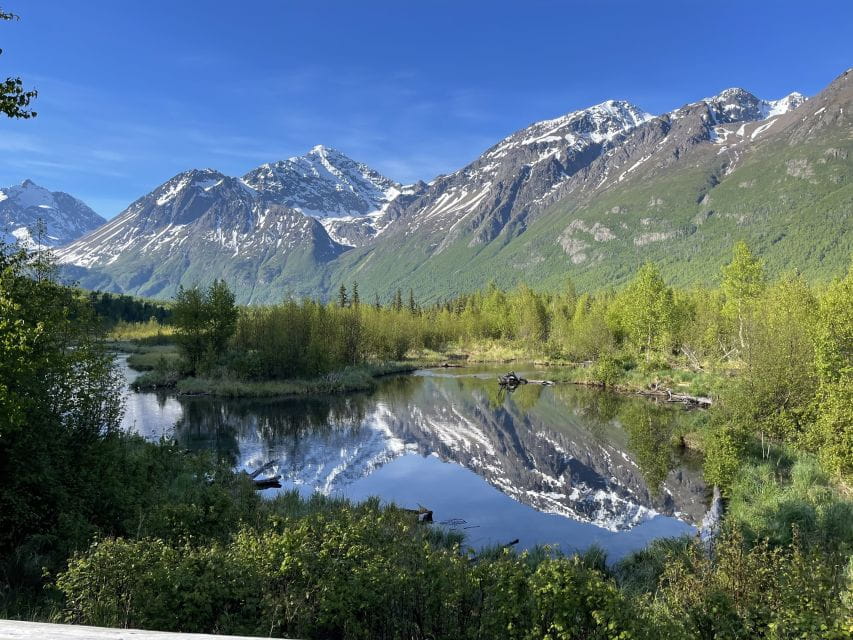 From Anchorage: Valley and Forest Hike With Naturalist Guide - Highlights of the Experience
