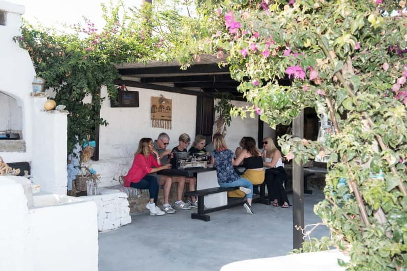 From Ano Mera: Day Tour & Wine Tasting with dinner At A Farm - Price and Overall Value