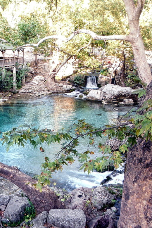 From Antalya: River Rafting in the Köprülü Canyon - Price and Value