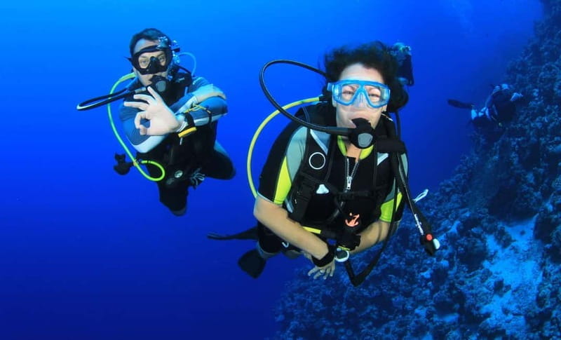 From Antalya: Scuba Diving With Lunch and Transfer - A Fresh Look at Antalya’s Underwater World: Scuba Diving With Lunch and Transfer