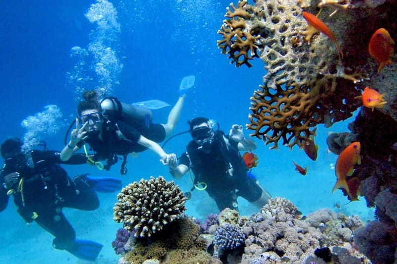 From Antalya: Scuba Diving With Lunch and Transfer - The Lunch and Social Break