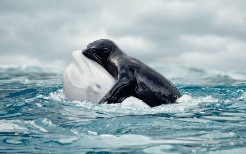 From Antalya: Scuba Diving With Lunch and Transfer - Weather and Safety Considerations