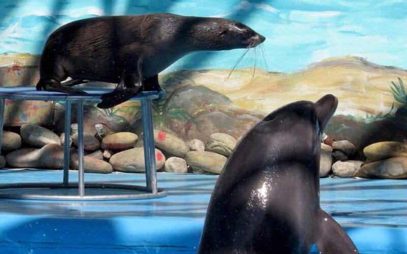 From Antalya: Scuba Diving With Lunch and Transfer - Final Thoughts: Is It Worth It?