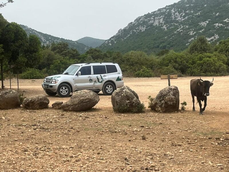 From Arbatax: 4hour jeep tour of the Golgo Plateau in Baunei - The Return with Sea Views and Scenic Vistas