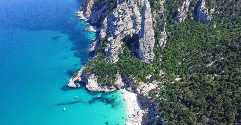 From Arbatax: Full-Day Guided Boat Tour of the Baunei Coast - Who Will Love This Tour?