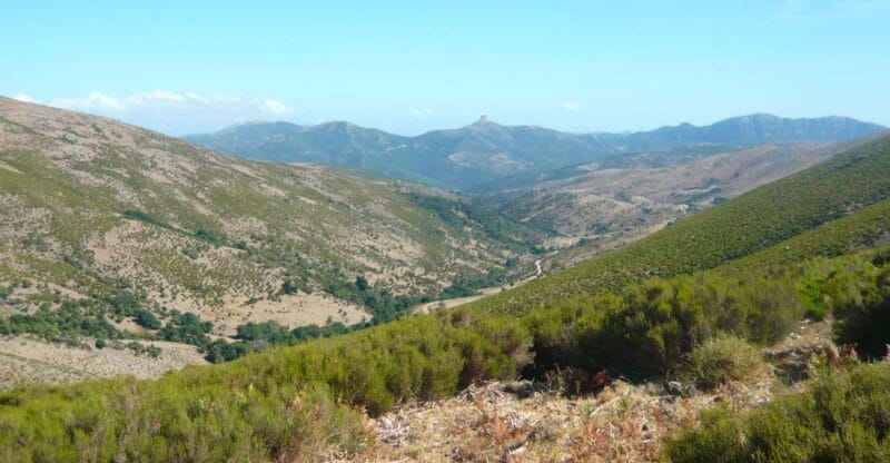 From Arzana: trekking to Punta La Marmora with aperitif - Who Will Love This Tour?