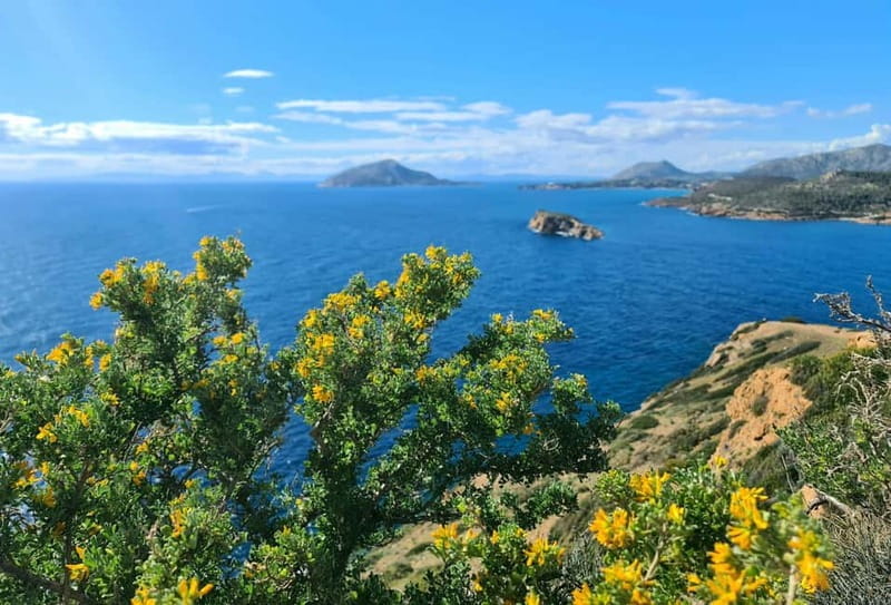 From Athens: Temple of Poseidon & Cape Sounion Half-Day Tour - Who Will Love This Tour?