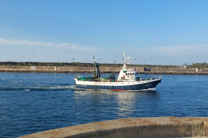 From Aveiro: Costa Nova, Barra, Vista Alegre - Half-Day Trip - Why This Tour Works for You