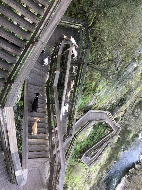 From Aveiro - Paiva Walkways and Suspension Bridge - Recap