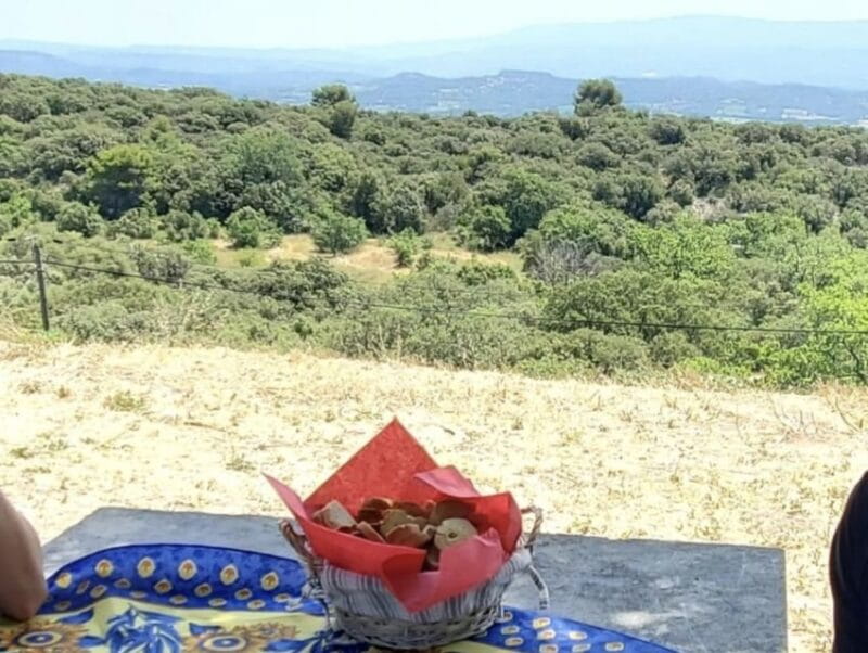 From Avignon: Arles, Les Baux-de-Provence & Saint-Rémy Tour - Key points / Takeaways