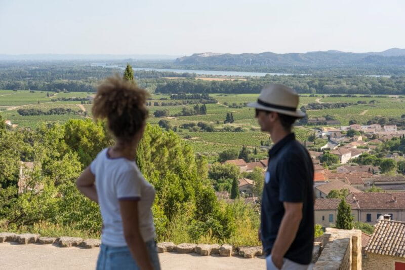 From Avignon: Châteauneuf du Pape Half-Day Wine Tour - Key Points / Takeaways
