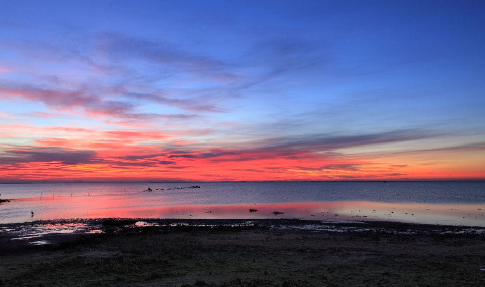 From Avignon: Half-Day Camargue and Saintes-Maries-de-la-Mer - Convenient Hotel Pickup From Avignon
