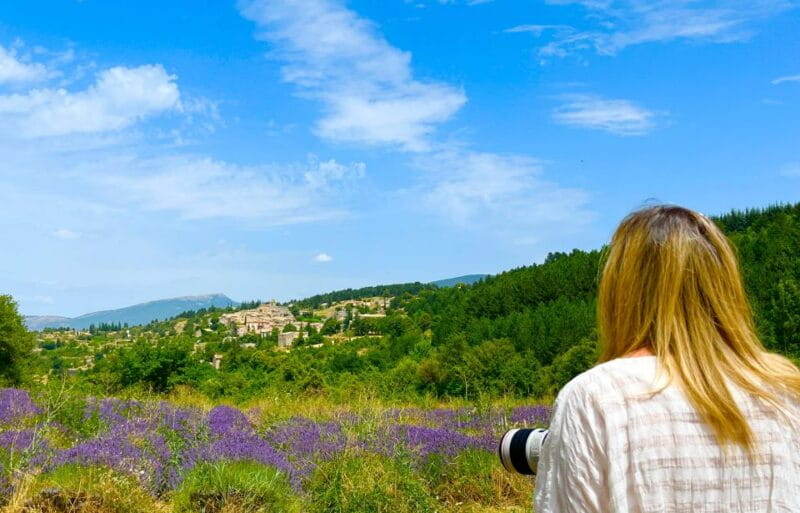 From Avignon: Lavender Tour around Valensole or Sault - Who Will Love This Tour?