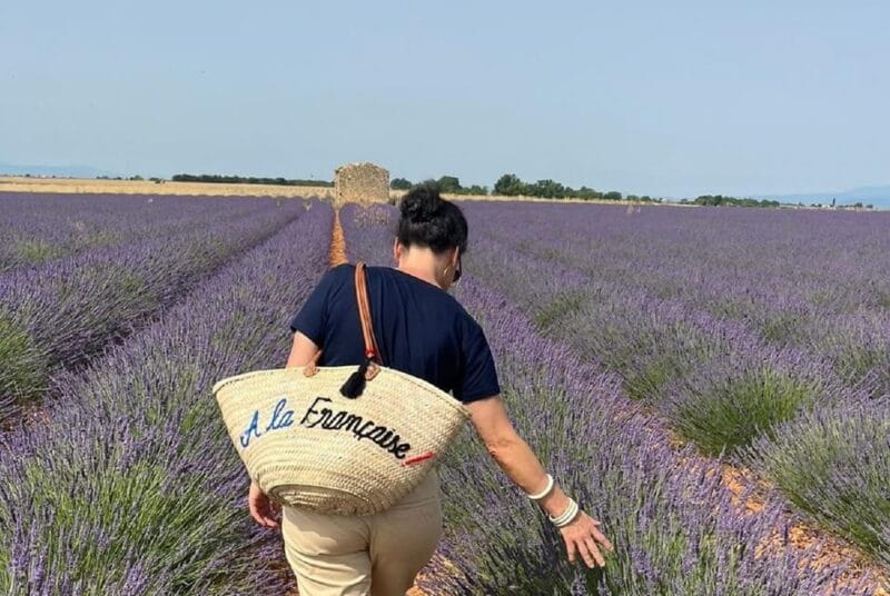 From Avignon: Lavender Villages Full-Day Tour - Key Points / Takeaways