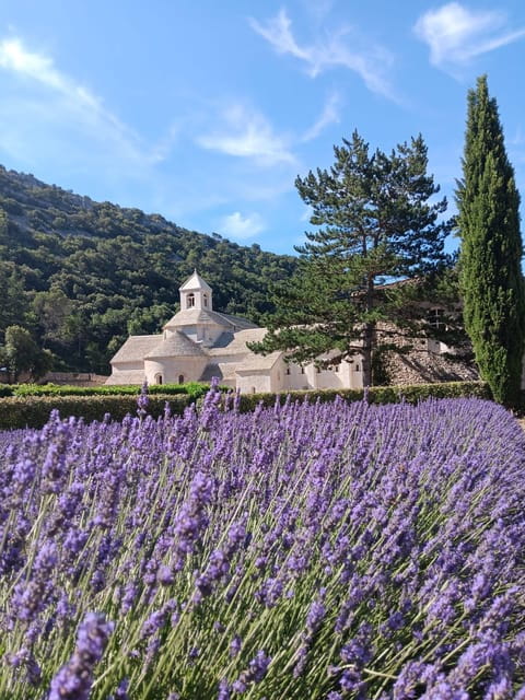 From Avignon: Lavender Villages Full-Day Tour - Who Would Love This Tour?