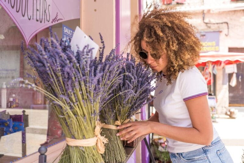 From Avignon: Lavender Villages Full-Day Tour - FAQ: Your Practical Questions Answered