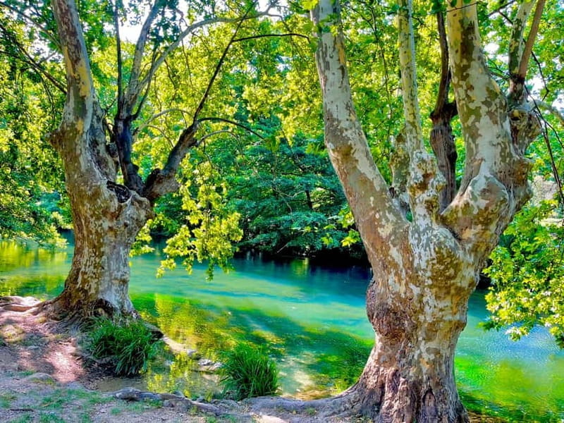 From Avignon: Provence Highlights Full-Day Tour - Exploring Provence’s Iconic Sites in One Day