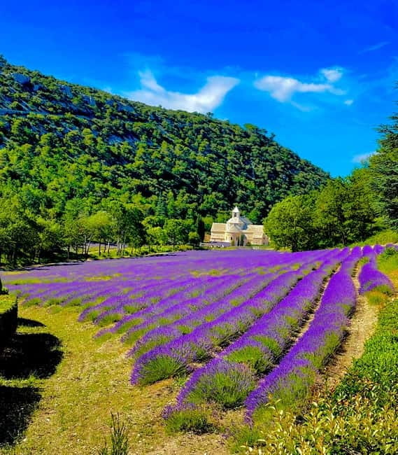 From Avignon: Provence Highlights Full-Day Tour - Roman Grandeur at Pont du Gard