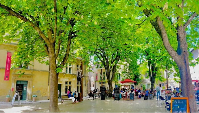 From Avignon: Provence Highlights Full-Day Tour - Final Thoughts