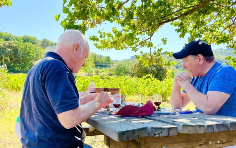 From Avignon: Roman Tour to Pont du Gard, Nîmes & Orange - Introduction: Why Choose This Roman Day Trip?