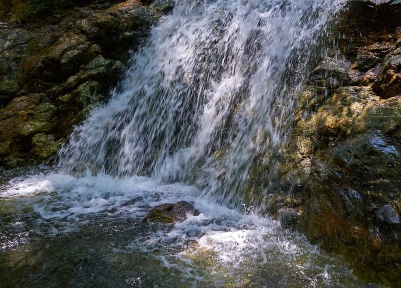 From Ayia Napa: Grand Tour Jeep Safari with Lunch - Price and Value