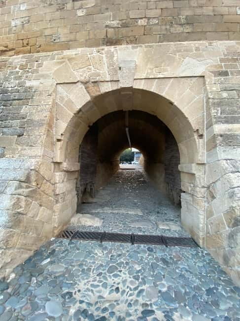 From Ayia Napa, Limassol, Larnaca: Private Tour to Nicosia - The Journey Begins: From Coast to Capital