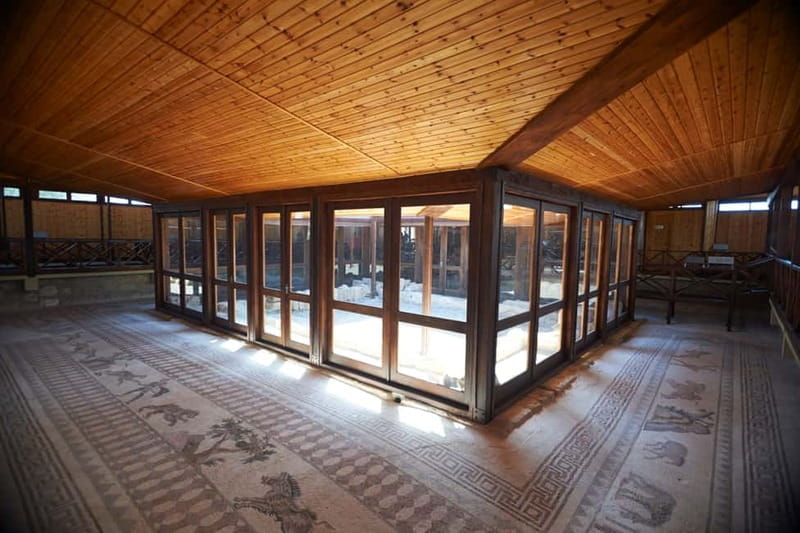 From Ayia Napa & Protaras: Kourion Tour and Paphos Town - FAQ