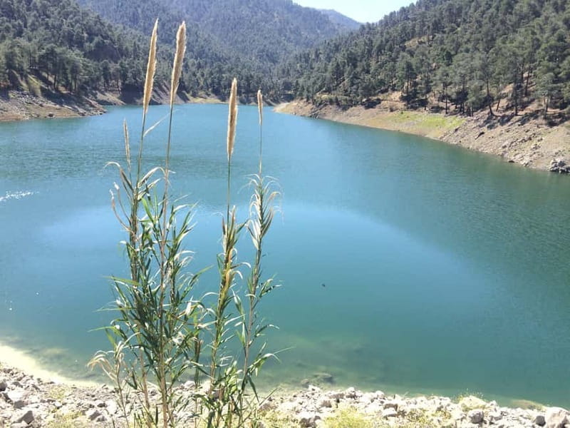 From Ayia Napa: Troodos Classic Jeep Safari - Final Thoughts