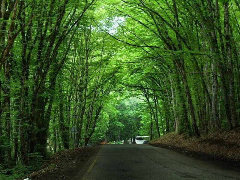 From Baku: Guba-Khinalig group day trip - Exploring the Scenic Wonders of Azerbaijan