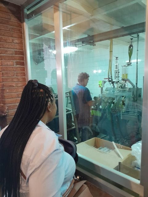 From Barcelona: 3 wineries with hotel pick-up and Lunch - Key points / Takeaways