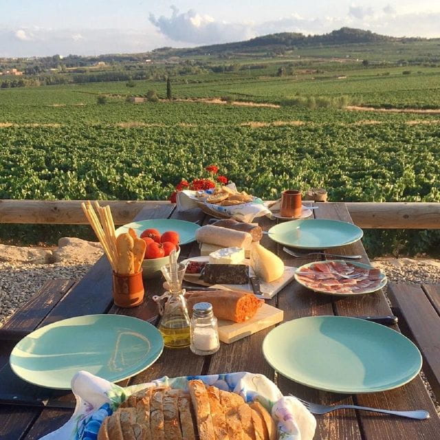 From Barcelona: 3 wineries with hotel pick-up and Lunch - Exploring the Scenic Wine Landscape of Penedès: An In-Depth Look at the Tour