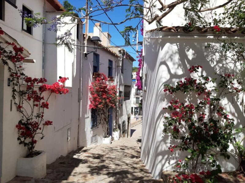 From Barcelona: Costa Brava Typical Towns full day tour - Key points / Takeaways